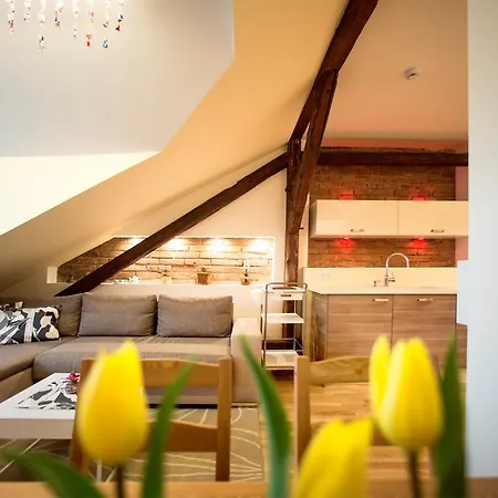 Apartment Rezidence Mandragora Pardubice