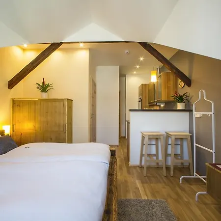 Rezidence Mandragora Apartment Pardubice